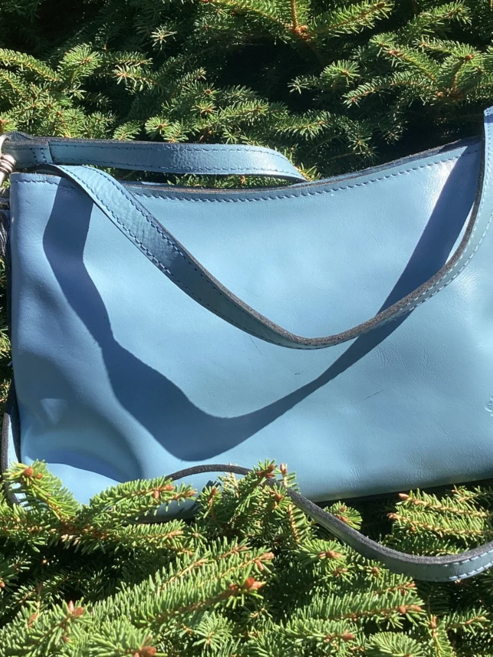 Patricia Nash this bag